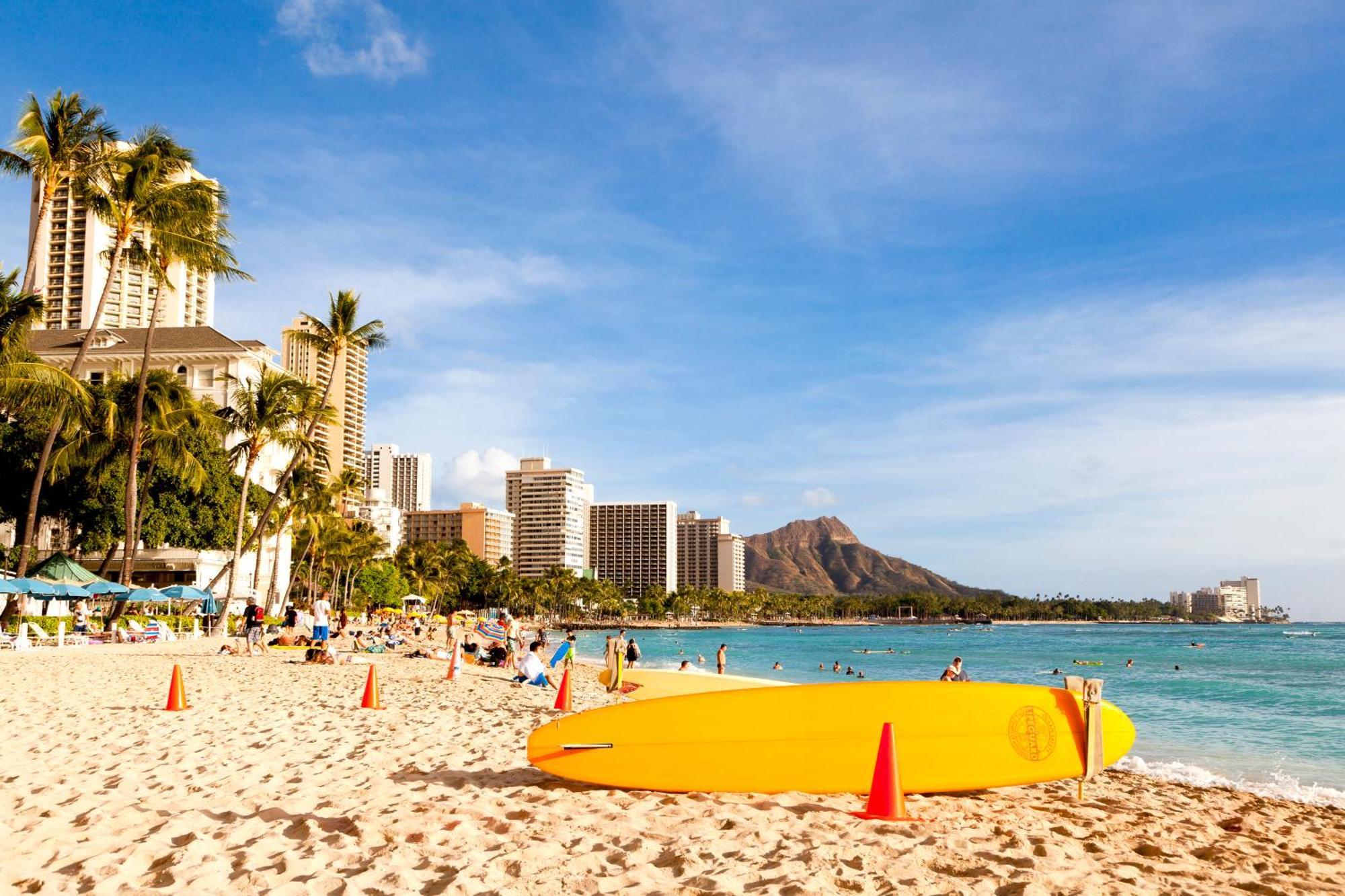 Renovated Ocean View Suite, Near Beach, Free Parking Honolulu Eksteriør bilde